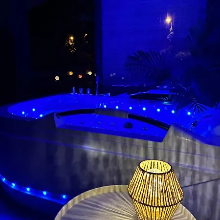 Casa Alma, Vue Cite, Jacuzzi Balneo, Clim, Jardin, Parking Gratuit Carcassonne