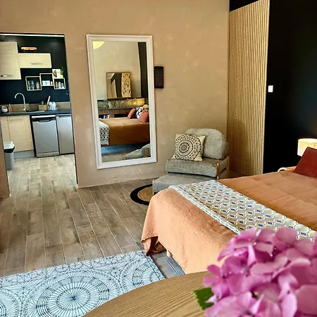 Casa Alma, Vue Cite, Jacuzzi Balneo, Clim, Jardin, Parking Gratuit Carcassonne