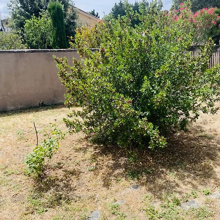 Casa Alma, Vue Cite, Jacuzzi Balneo, Clim, Jardin, Parking Gratuit Apartment